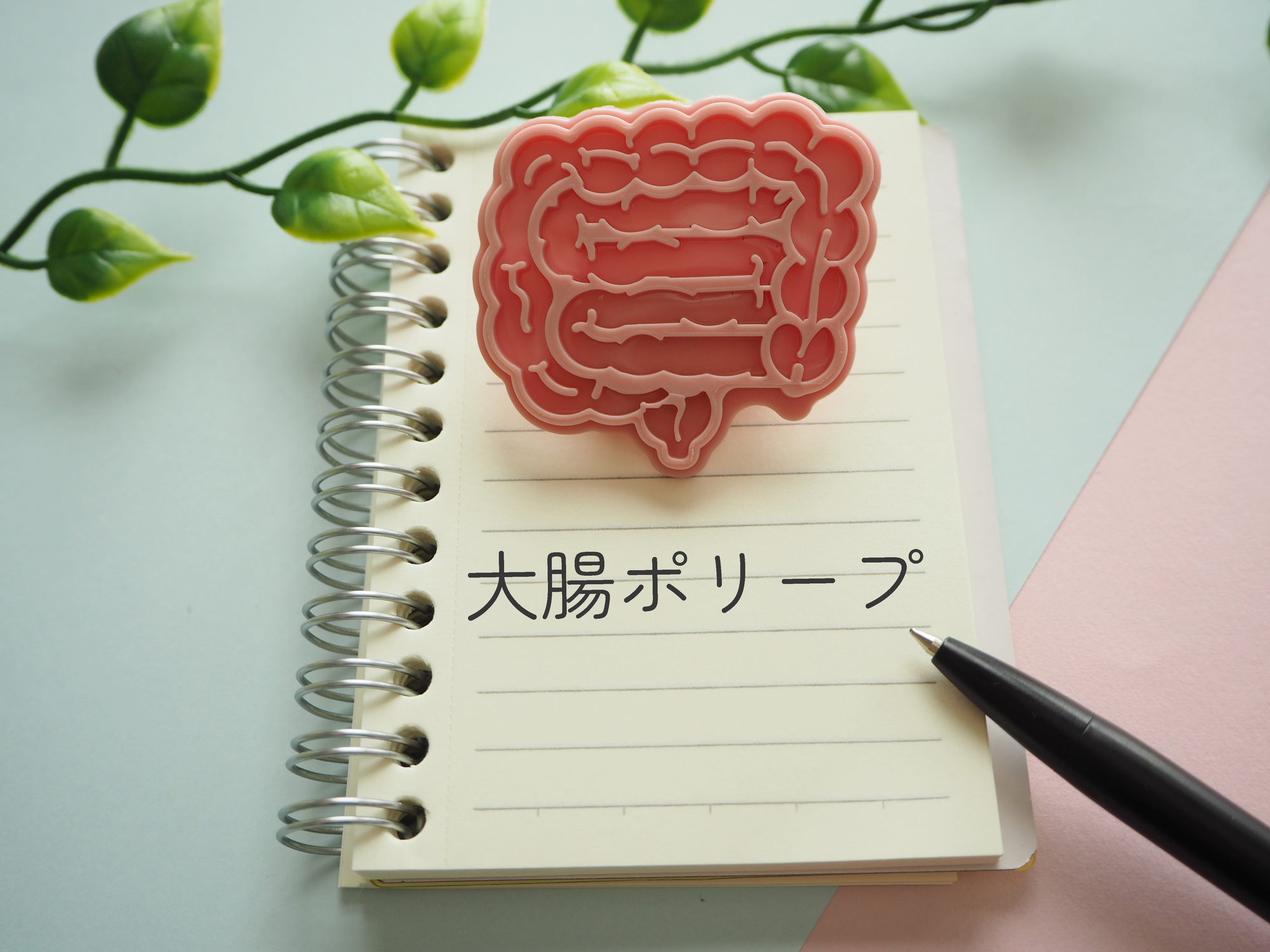 大腸ポリープはその日のうちに切除可能